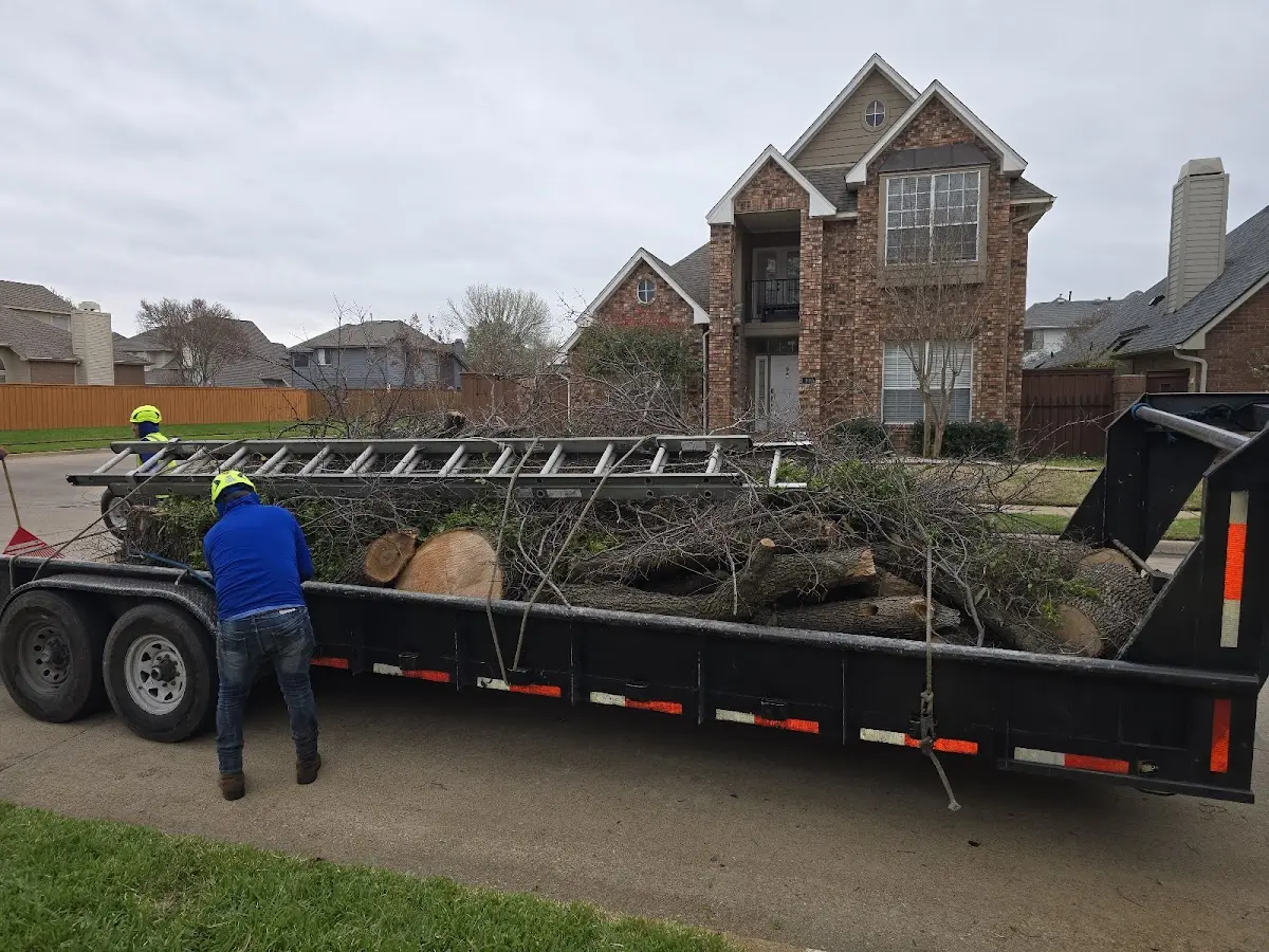 Expert Lot Clearing with proper safety equipment in Tamms